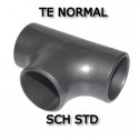 Te Normal SCH STD