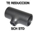 Te Reducción SCH STD