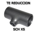 Te Reducción SCH XS