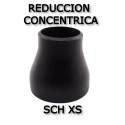 Reducción Concéntrica SCH XS