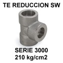 Serie 3000