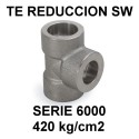 Serie 6000